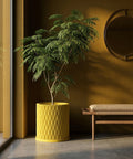 A vibrant yellow planter pot with a lush green plant sits atop a dark gray surface, adding a pop of color to the modern interior.