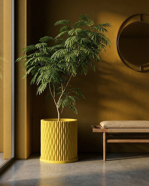 A vibrant yellow planter pot with a lush green plant sits atop a dark gray surface, adding a pop of color to the modern interior.