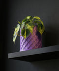 A purple planter pot with a green plant inside sits on a concrete floor in front of a window.