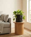A black planter pot with a green plant sits on a wooden table next to a gray couch with a throw blanket.