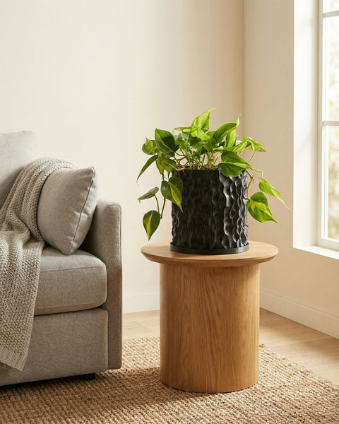 A black planter pot with a green plant sits on a wooden table next to a gray couch with a throw blanket.