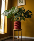 A Monstera plant in a red textured planter sits atop a wooden stand near a window, against a mustard-colored wall with a framed botanical print.