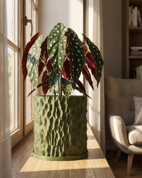 A green planter pot with a plant inside sits on a wooden windowsill, bathed in sunlight. The pot has a textured, geometric design.