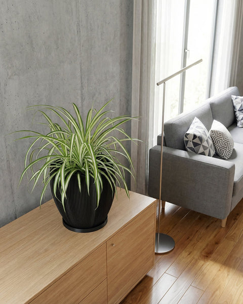 A black planter pot with a plant sits on a dark wood table. A round mirror hangs on the wall behind the plant.