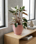 A pink planter pot with a green plant sits on a wooden table next to books and a gold lamp.