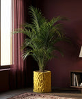 A vibrant yellow planter pot with a textured surface holds a lush green palm, adding a pop of color to the room.