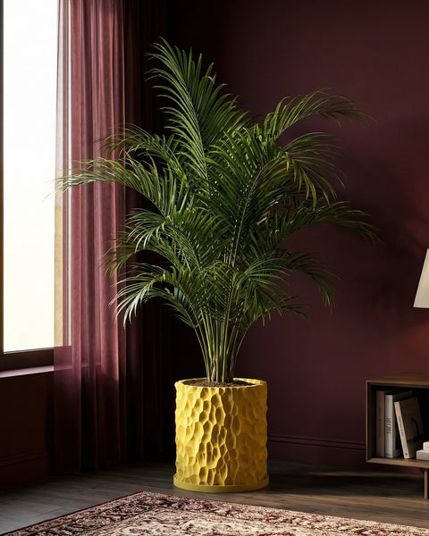 A vibrant yellow planter pot with a textured surface holds a lush green palm, adding a pop of color to the room.