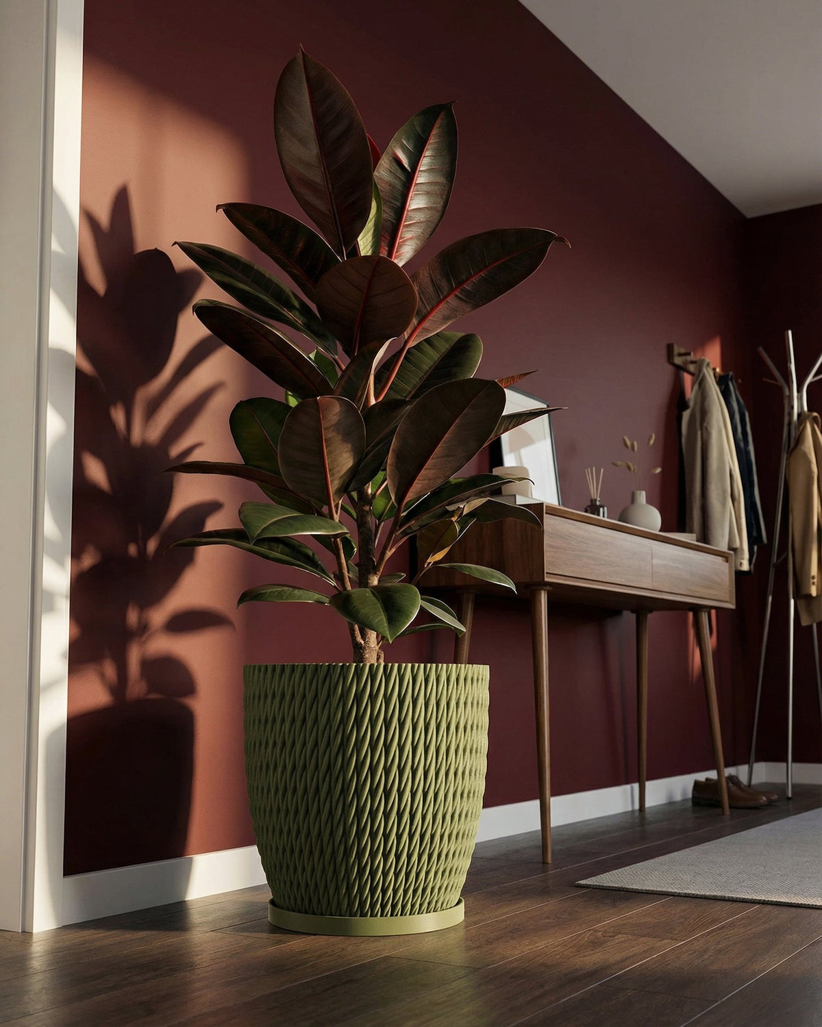 A rubber plant in a green, textured planter pot sits on a dark wood floor against a deep red wall. The pot has a woven design.