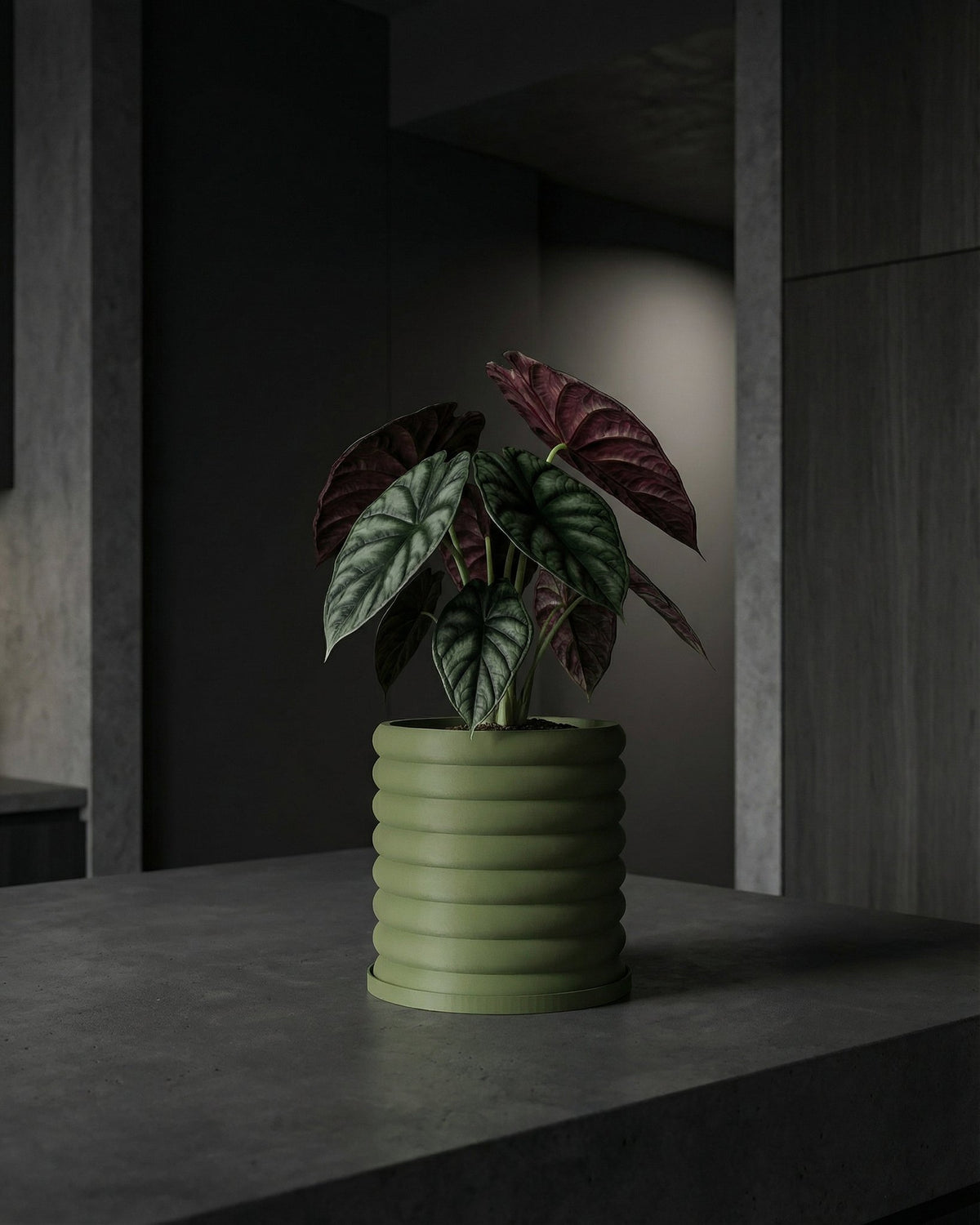 A green planter pot with a plant in it sits on a dark gray surface. The pot has a ribbed design.
