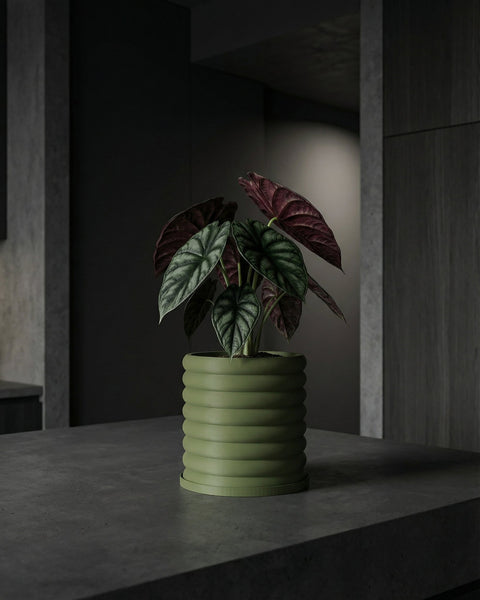 A green planter pot with a plant in it sits on a dark gray surface. The pot has a ribbed design.