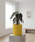 A yellow textured planter pot with a variegated Monstera plant inside, sitting on a wood floor in a room with blue walls.