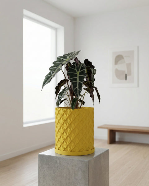 A yellow textured planter pot with a variegated Monstera plant inside, sitting on a wood floor in a room with blue walls.