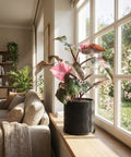 A Philodendron Pink Princess plant in a black planter pot sits on a window sill in a sunlit room.