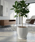 A Pilea peperomioides plant sits in a white, textured planter on a dark wooden side table next to a gray couch.
