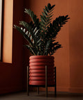 A ZZ plant in a red, ribbed planter pot with a wooden stand, set against a matching orange wall.