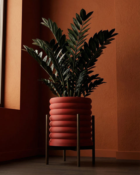 A ZZ plant in a red, ribbed planter pot with a wooden stand, set against a matching orange wall.