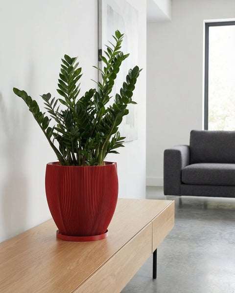 A red planter pot with a green plant sits on a wooden table next to a lamp. The pot has a textured design.