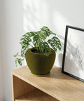 A green planter pot with a plant inside sits on a wooden shelf next to a framed picture. The planter has a ribbed texture.