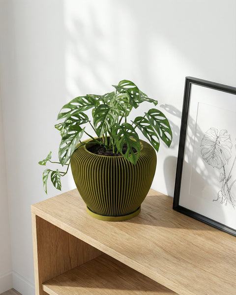 A green planter pot with a plant inside sits on a wooden shelf next to a framed picture. The planter has a ribbed texture.