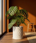 A monstera plant sits in a white geometric planter pot on a wooden floor near a window and stool.