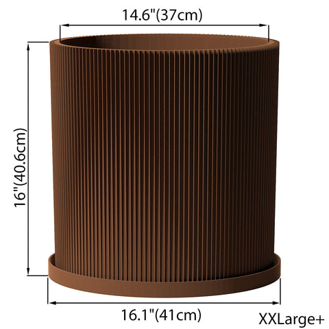 Nut Brown Ray