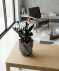 A gray planter pot with a green ivy plant sits on a wooden shelf against a rust-colored wall.