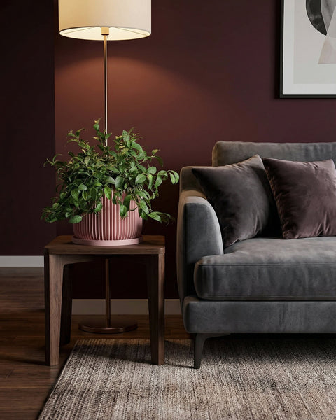 A pink planter pot with a geometric pattern sits on a dark wooden surface, holding a vibrant plant with pink and green leaves.