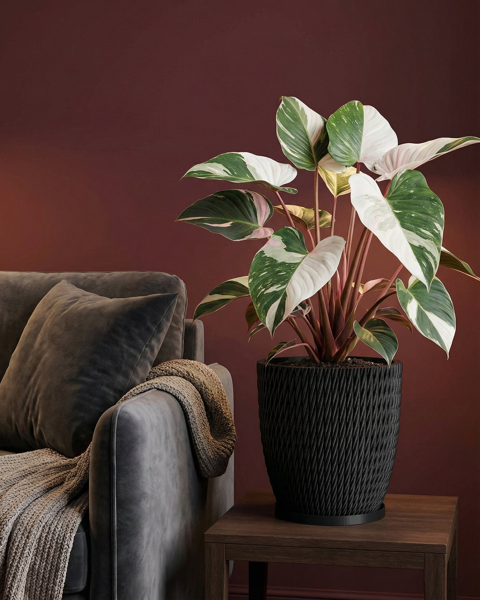 A black woven planter pot sits on a wooden table next to a gray couch with a throw blanket. A plant with green and white leaves is in the pot.
