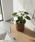 A woven brown planter pot with a green plant inside sits on a light wood cabinet in a modern, well-lit room.