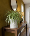 A spider plant in a white geometric planter pot sits on a wooden console table beneath a round mirror in a modern entryway.
