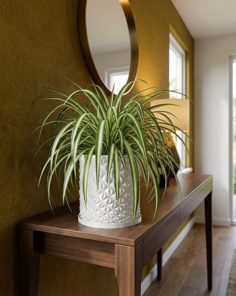 A spider plant in a white geometric planter pot sits on a wooden console table beneath a round mirror in a modern entryway.