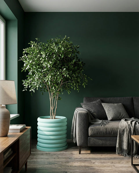 A living room scene with a large green plant in a light blue, ribbed planter pot, next to a gray sofa and a wooden cabinet.