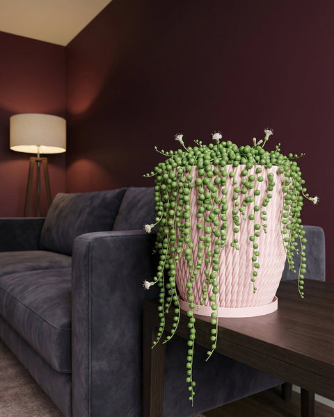 A pink planter pot with a string of pearls plant sits on a dark wood table next to a gray couch in a room with burgundy walls.