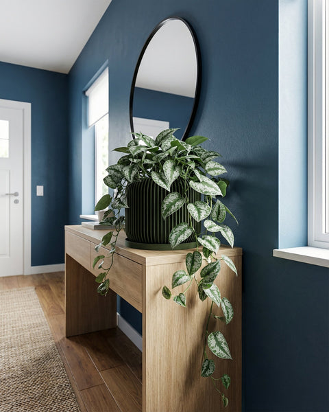 A green planter pot with a spider plant sits on a wooden table next to a beige couch.