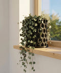 A String of Hearts plant in a black planter with a honeycomb pattern sits on a wooden windowsill.