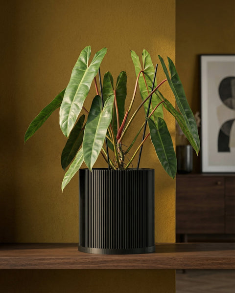 A Philodendron plant in a black, ribbed planter pot sits on a wooden shelf against a textured yellow wall.