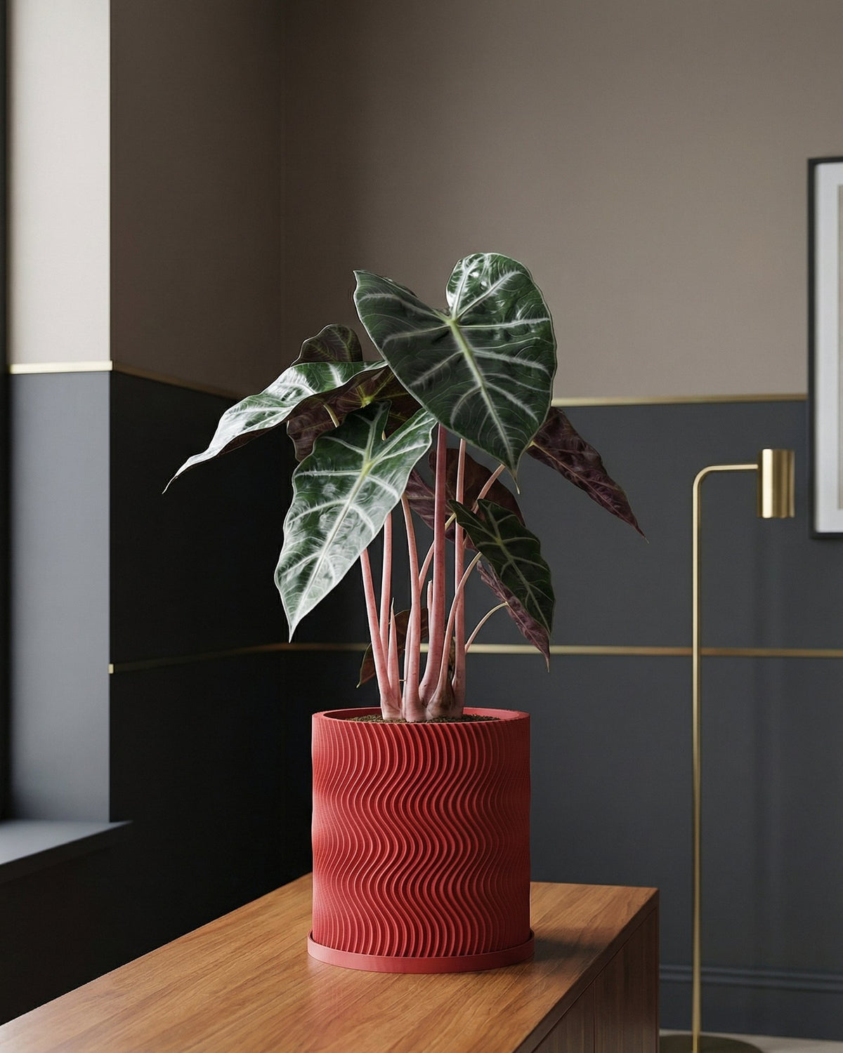 A red planter pot with a wavy design sits on a wooden table, holding a green plant with large leaves. The background is a dark gray wall.