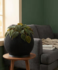 A black, round planter pot with vertical lines sits on a wooden side table next to a gray couch with books and a blanket.