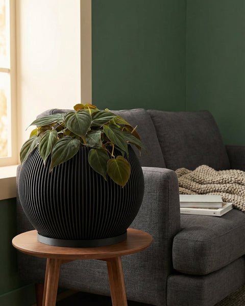 A black, round planter pot with vertical lines sits on a wooden side table next to a gray couch with books and a blanket.