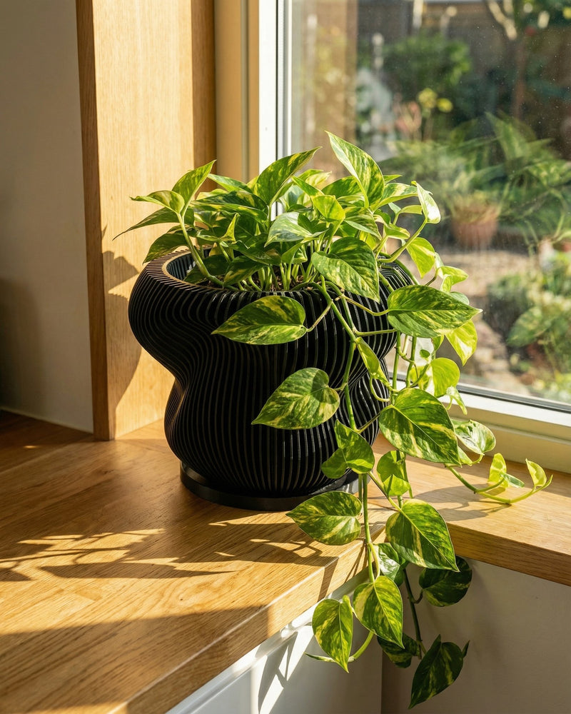 A black planter pot with a green plant on a wooden stand, next to a gray couch, against a dark green wall.