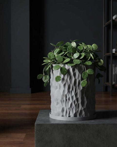 A gray planter pot with a textured surface sits on a gray stand, filled with a green plant with round leaves.