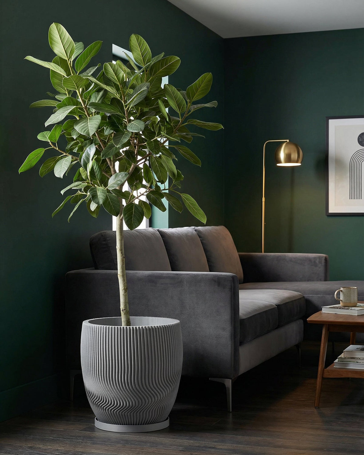 A gray planter pot with a tree inside sits next to a gray sofa, with a dark green wall in the background.
