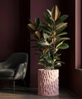 A pink textured planter pot with a rubber plant inside, next to a dark gray chair and a dark red wall.