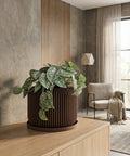 A brown planter pot with a Pilea plant sits on a black table, with a round mirror and a lamp in the background.