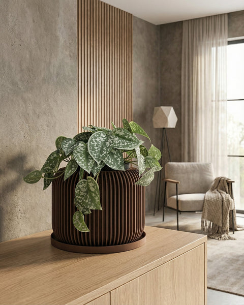 A brown planter pot with a Pilea plant sits on a black table, with a round mirror and a lamp in the background.