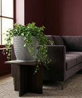 A gray planter pot with a green ivy plant sits on a dark wood table next to a brown couch.