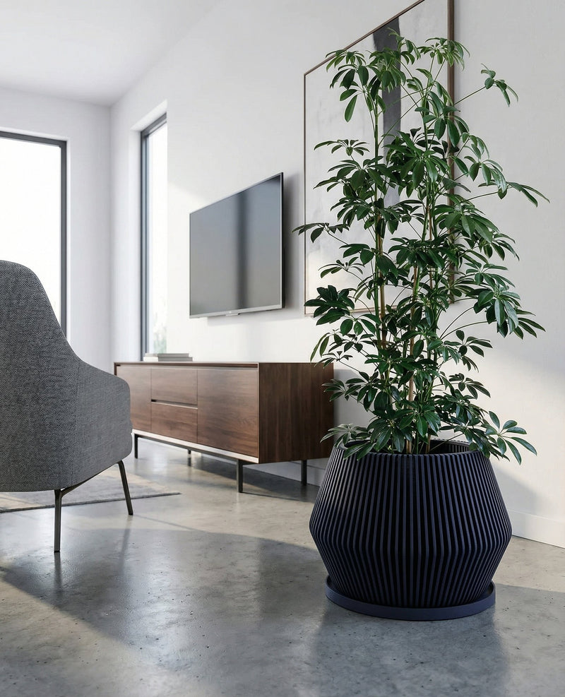 A dark blue ribbed planter pot sits on a light wood cabinet, holding a vibrant green and pink houseplant. The background features a concrete wall and a bright, airy room with sheer curtains.