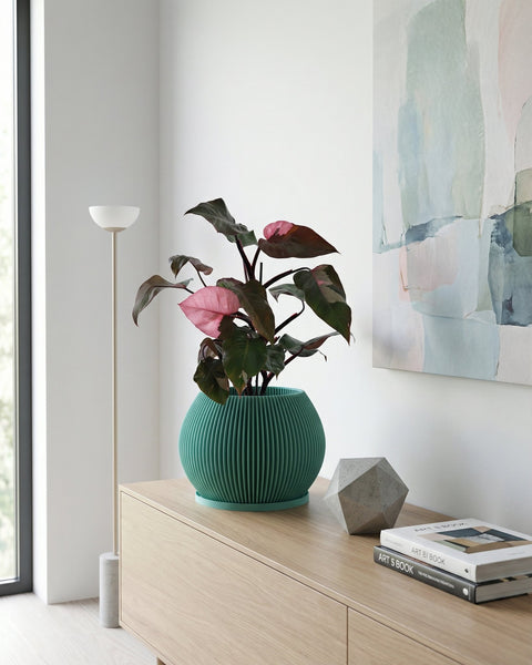 A green ribbed planter pot sits on a wooden cabinet, holding a plant with pink and dark green leaves, next to books and a geometric object.