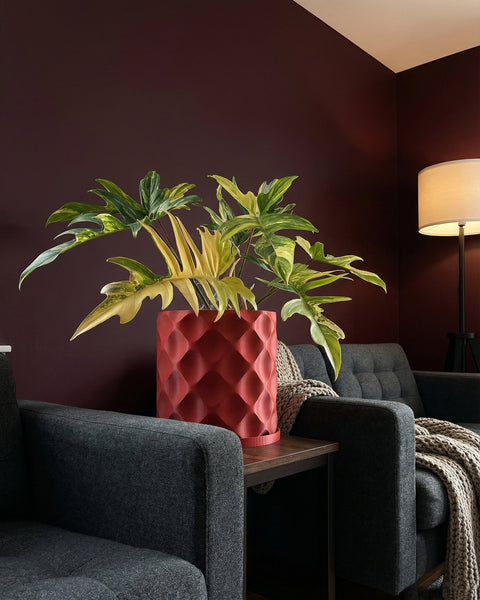 A red planter pot with a plant in it sits on a table between two gray chairs. A lamp is in the background.