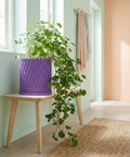 A purple planter pot with a plant on a wooden table. The pot has a textured design.